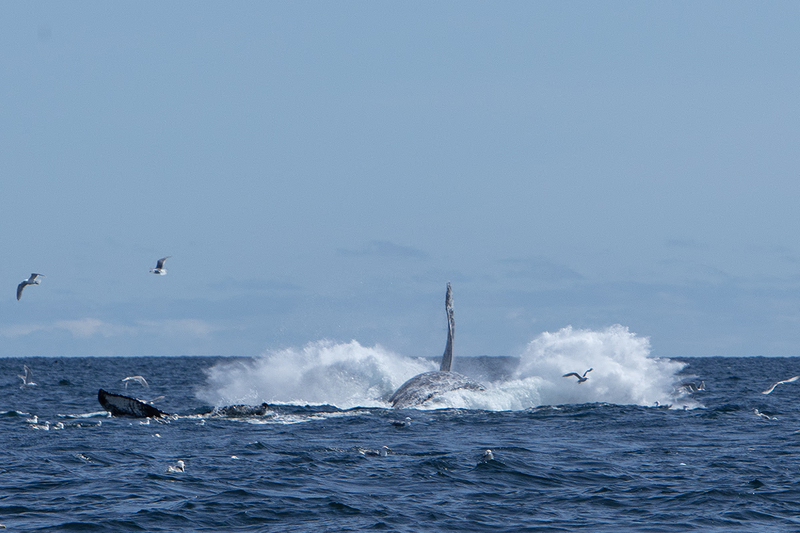 5G7A5470_R1_1 copy(1).jpg