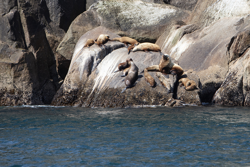 5G7A5495_R1 copy(1).jpg