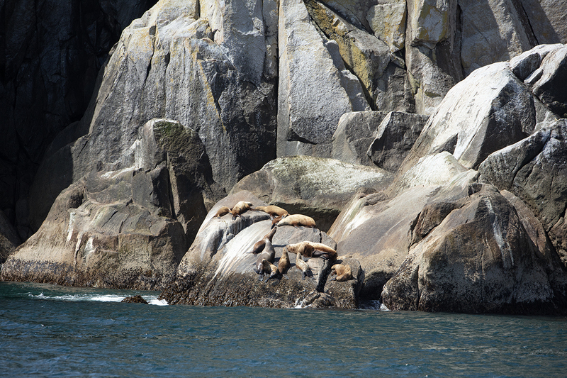 5G7A5510_R1 copy.jpg