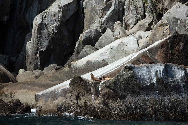 5G7A5526_R1 copy(1).jpg