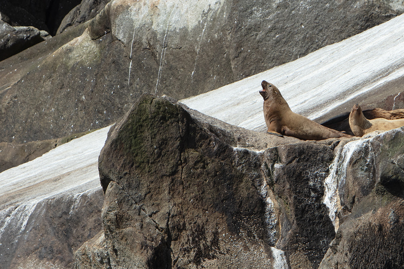 5G7A5526_R1_1 copy(1).jpg