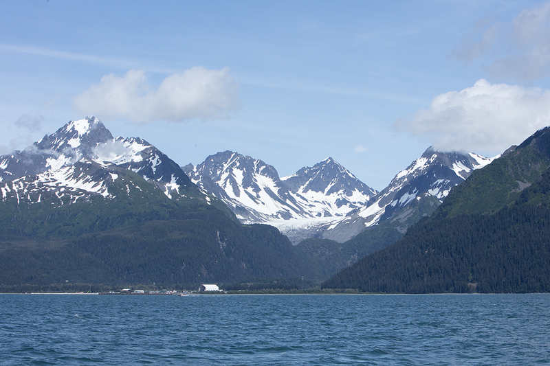 5G7A5572_R1 copy(1).jpg