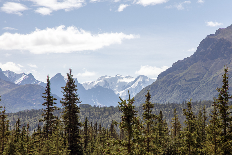 5G7A5604_R1 copy.jpg