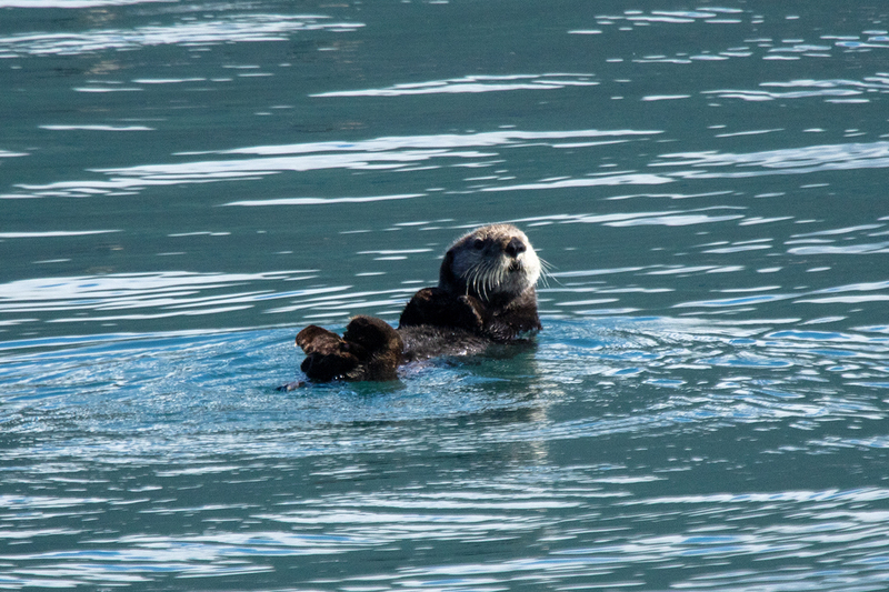 5G7A5745_R1 copy.jpg