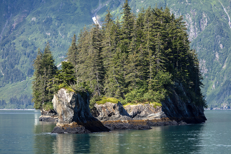 5G7A5777_R1 copy.jpg