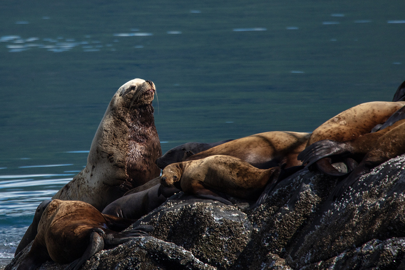 5G7A5826_R1 copy.jpg