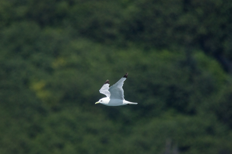 5G7A5841_R1 copy.jpg