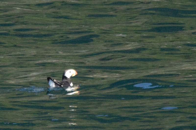 5G7A5934_R1 copy.jpg