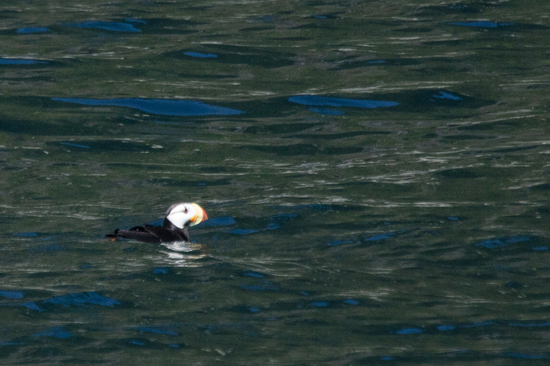 5G7A5938_R1 copy.jpg