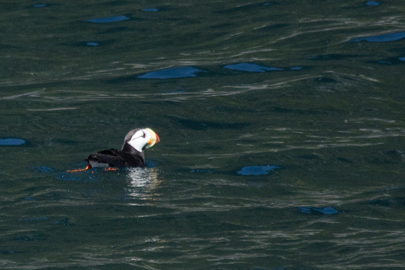 5G7A5943_R1 copy.jpg