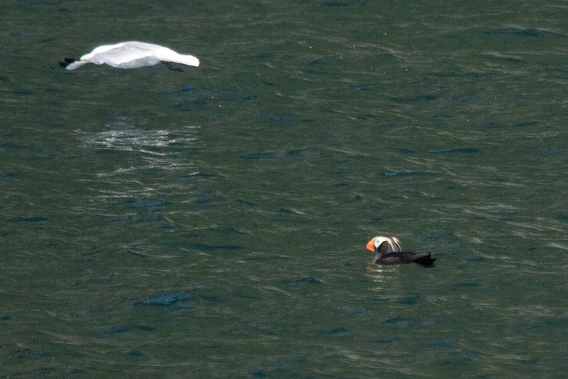 5G7A5953_R1 copy.jpg