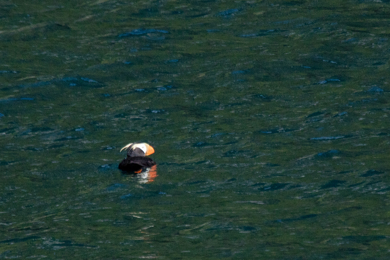 5G7A5960_R1 copy.jpg