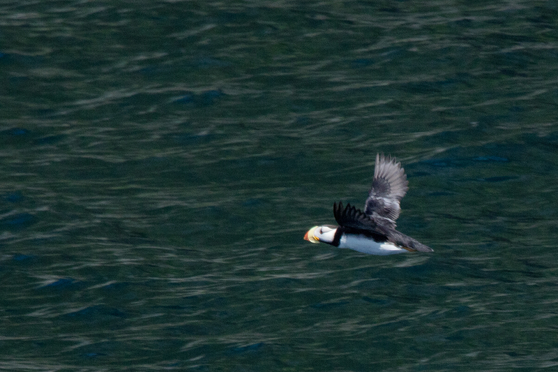 5G7A5979_R1 copy.jpg