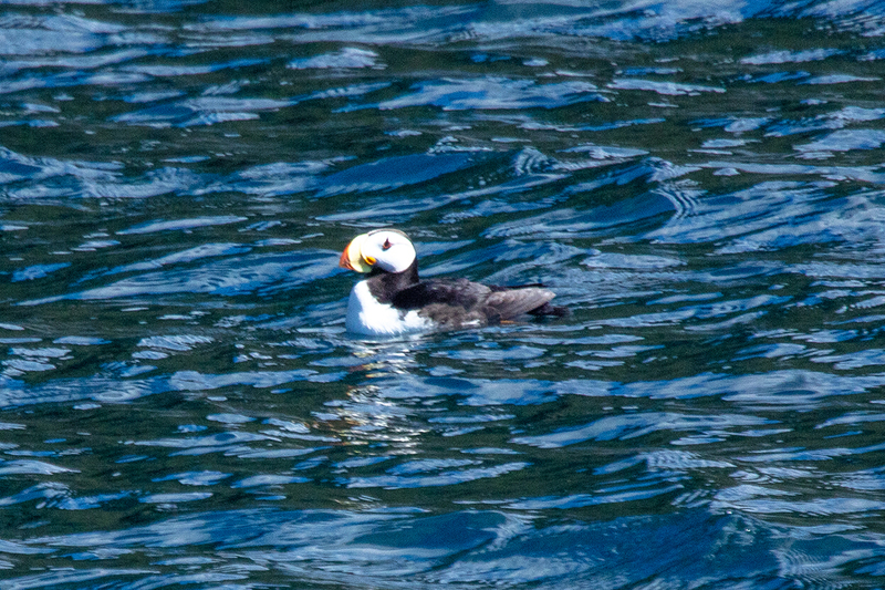 5G7A5984_R1 copy.jpg