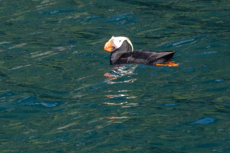 5G7A5997_R1 copy.jpg