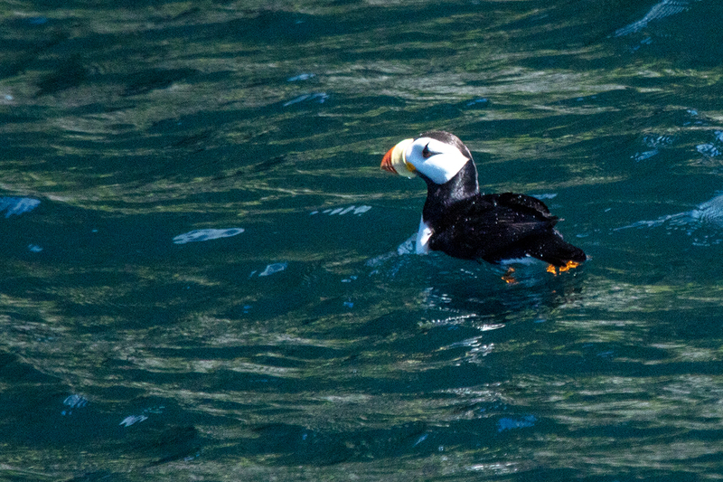 5G7A6021_R1 copy.jpg