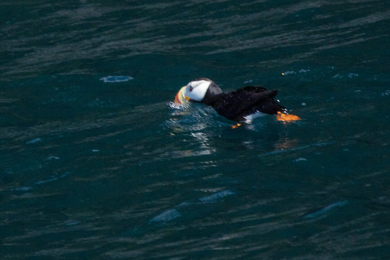 5G7A6025_R1 copy.jpg