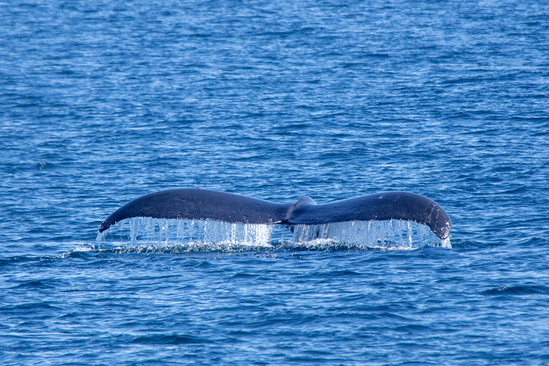 5G7A6060_R1 copy.jpg