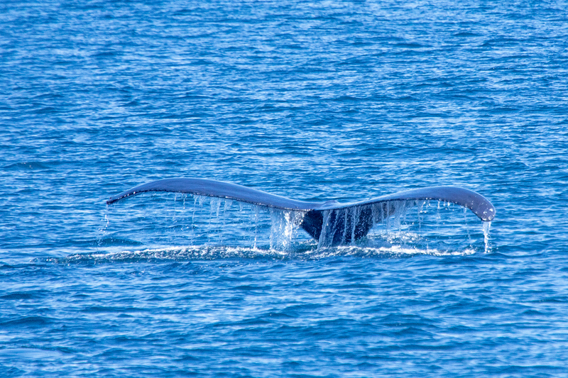 5G7A6061_R1 copy.jpg