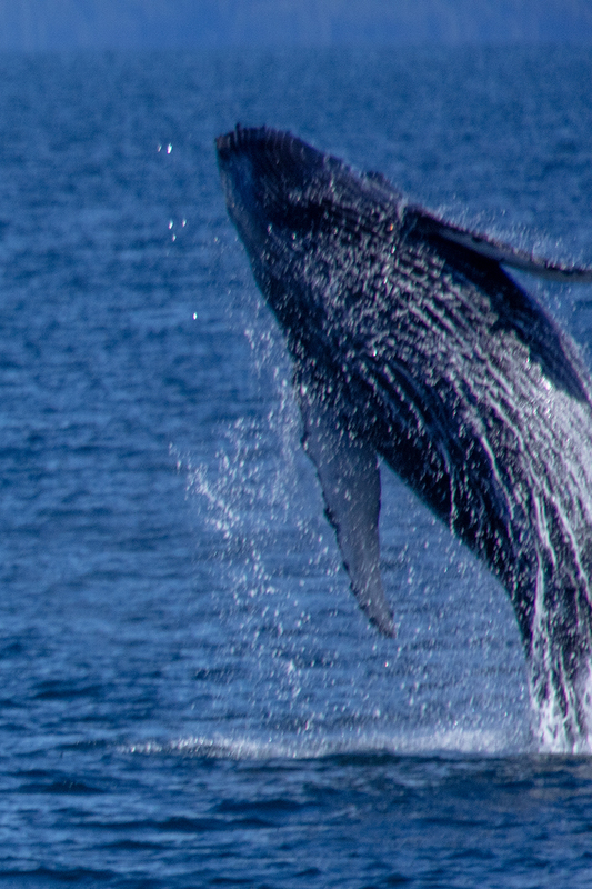 5G7A6068_R1 copy.jpg