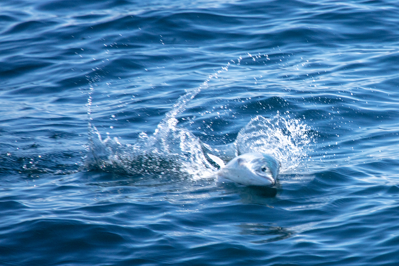 5G7A6075_R1 copy.jpg