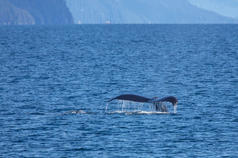 5G7A6085_R1 copy.jpg