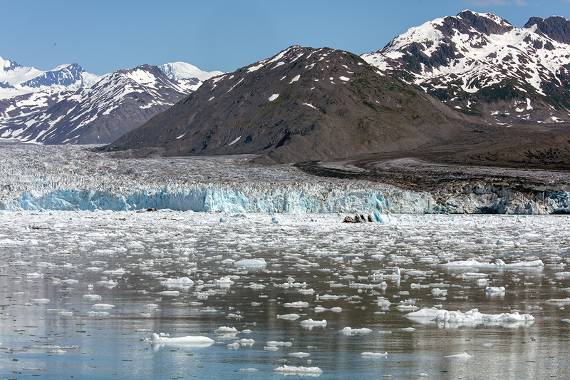 5G7A6282_R1 copy.jpg