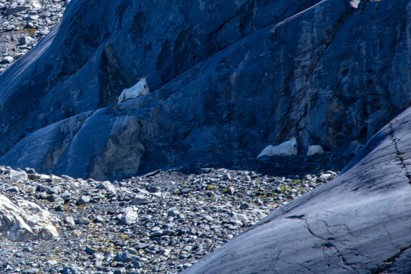 5G7A6348_R1 copy.jpg