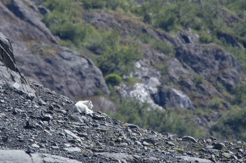 5G7A6351_R1 copy.jpg