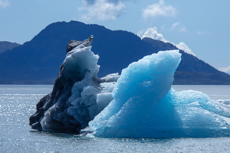 5G7A6388_R1 copy.jpg