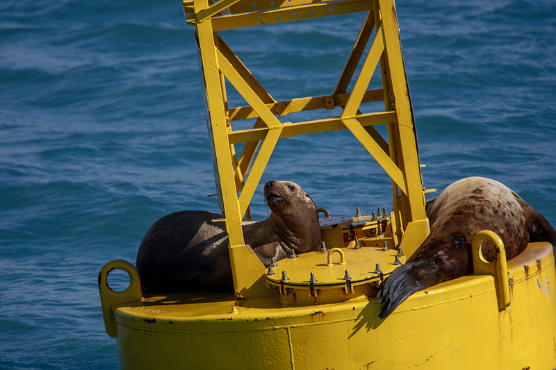 5G7A6490_R1 copy.jpg