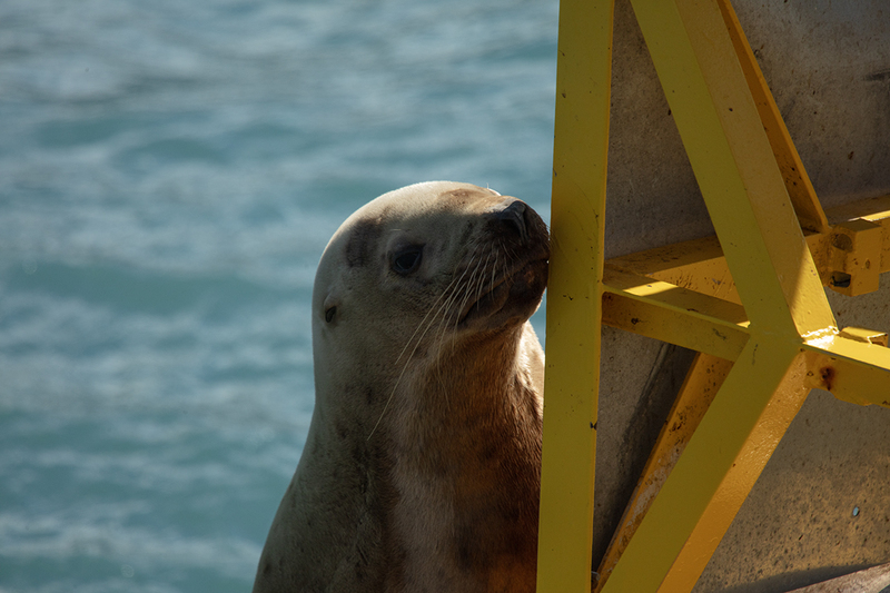 5G7A6496_R1 copy.jpg