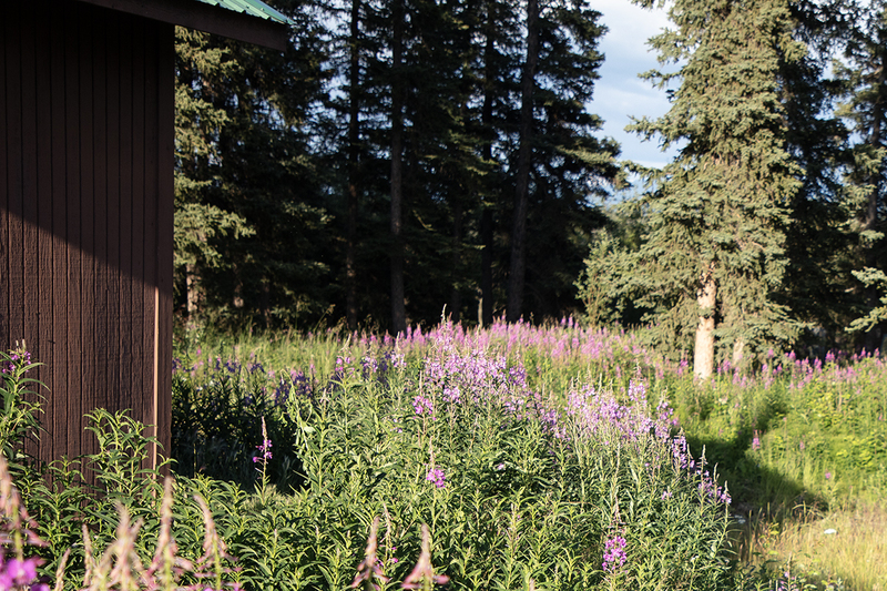 5G7A6591_R1 copy.jpg