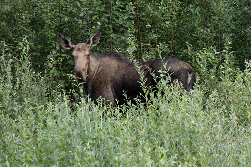 5G7A6594_R1 copy.jpg