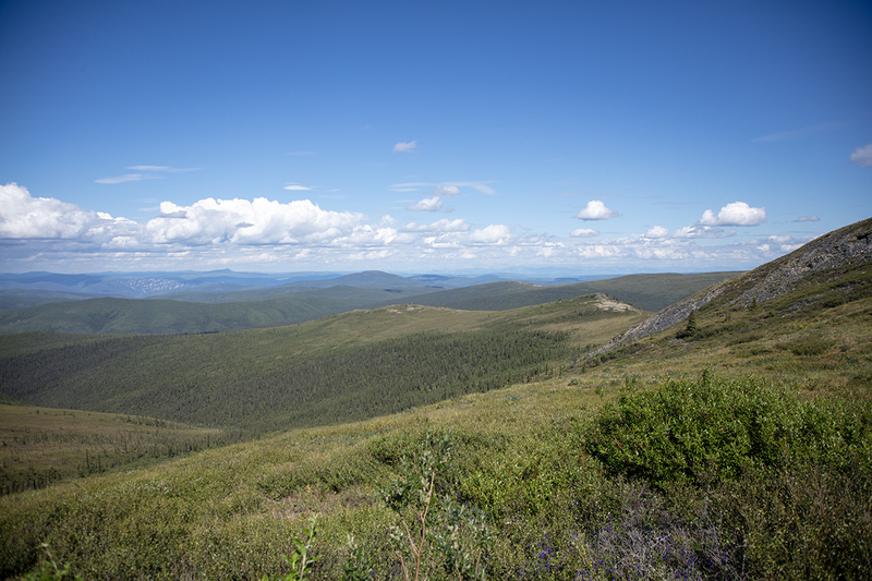 5G7A6608_R1 copy.jpg