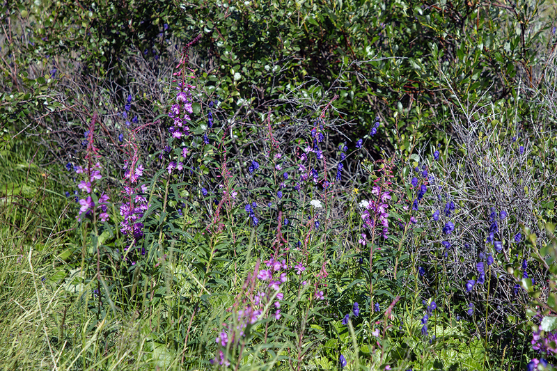 5G7A6613_R1 copy(1).jpg