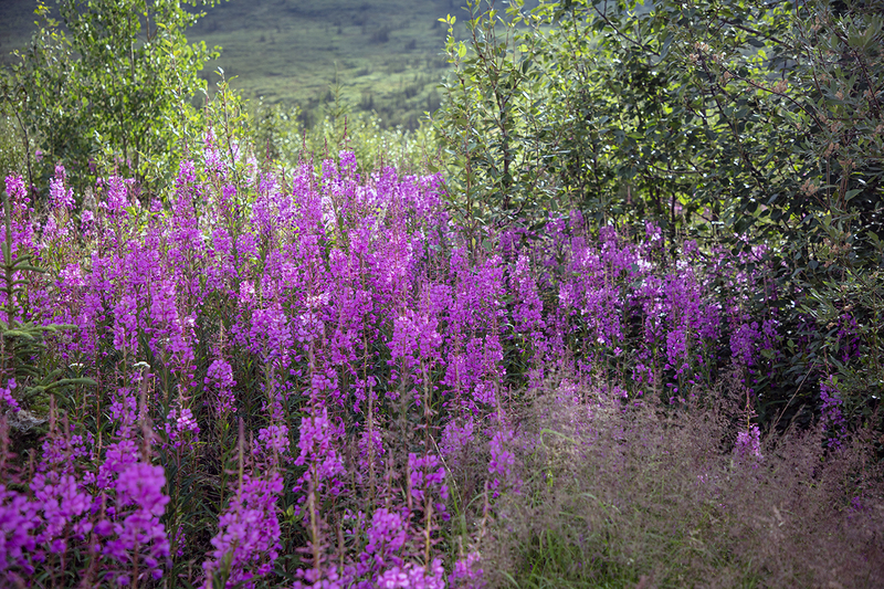 5G7A6618_R1 copy.jpg