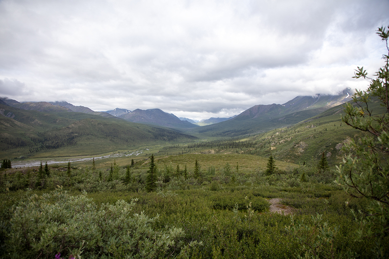 5G7A6619_R1 copy.jpg