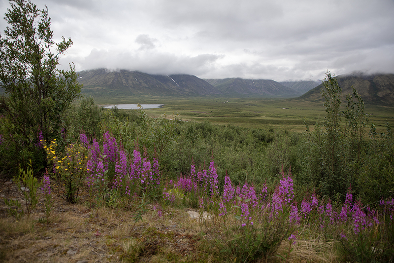 5G7A6622_R1 copy.jpg