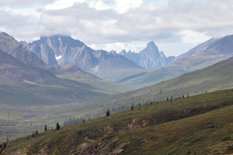 5G7A6651_R1 copy.jpg