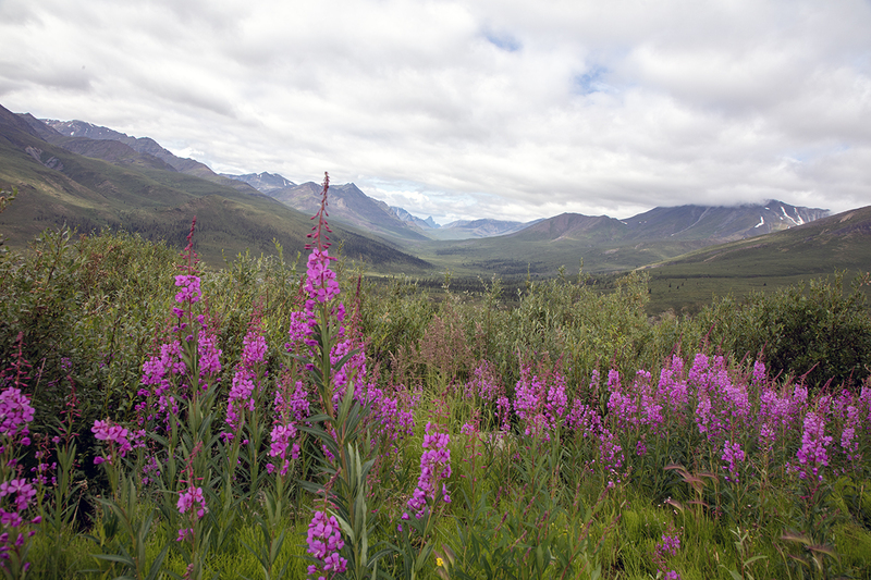 5G7A6662_R1 copy.jpg