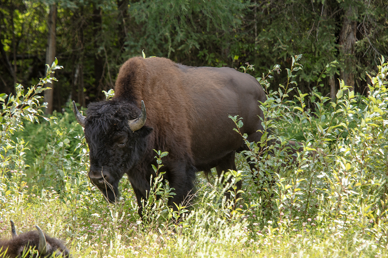 5G7A6745_R1 copy.jpg