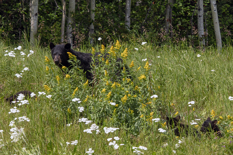 5G7A6757_R1 copy.jpg