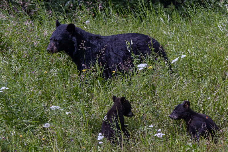 5G7A6797_R1 copy.jpg