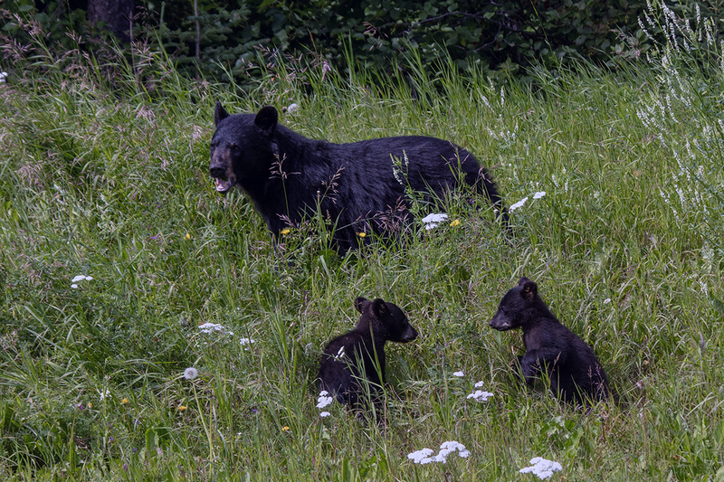 5G7A6798_R1 copy.jpg