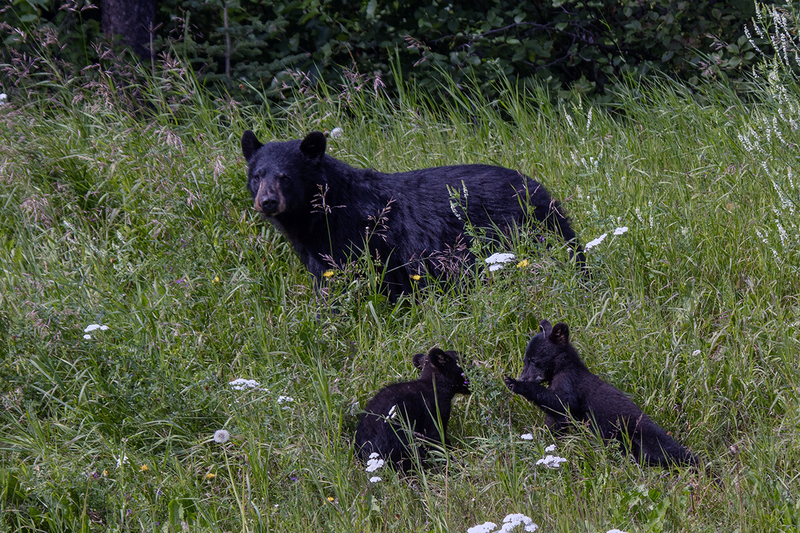 5G7A6799_R1 copy.jpg