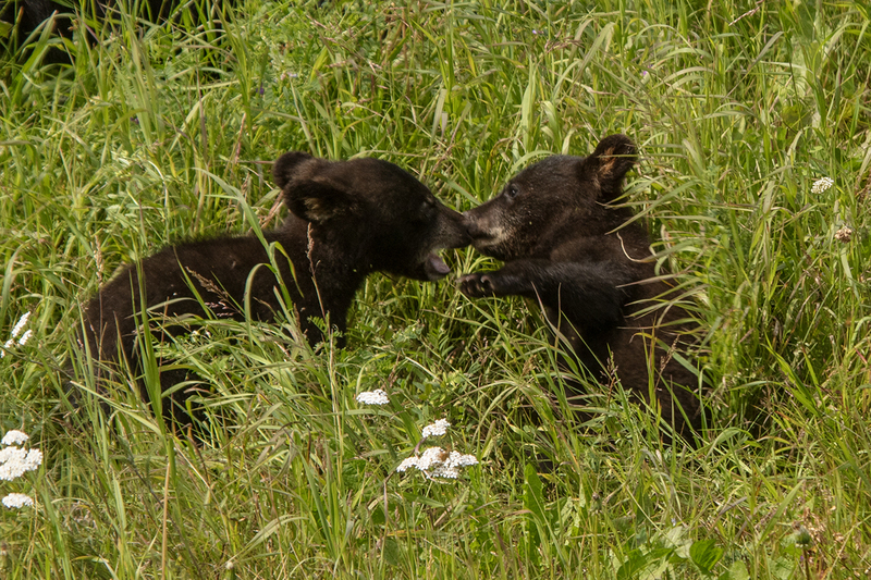 5G7A6804_R1 copy.jpg