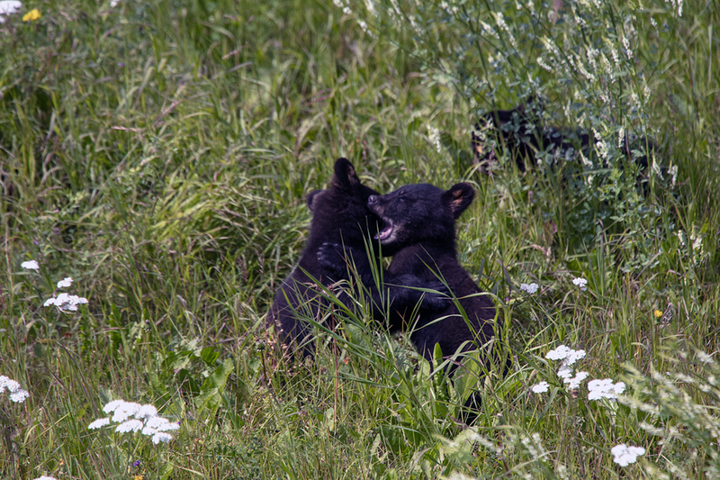 5G7A6813_R1 copy.jpg