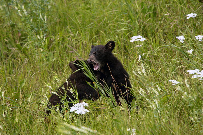 5G7A6837_R1 copy.jpg