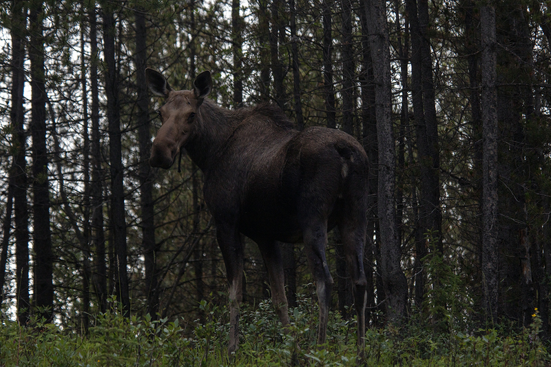 5G7A6898_R1 copy.jpg